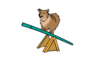 Sheltie Dog Doing Agility Training